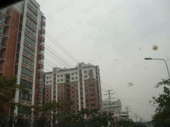 社区实景